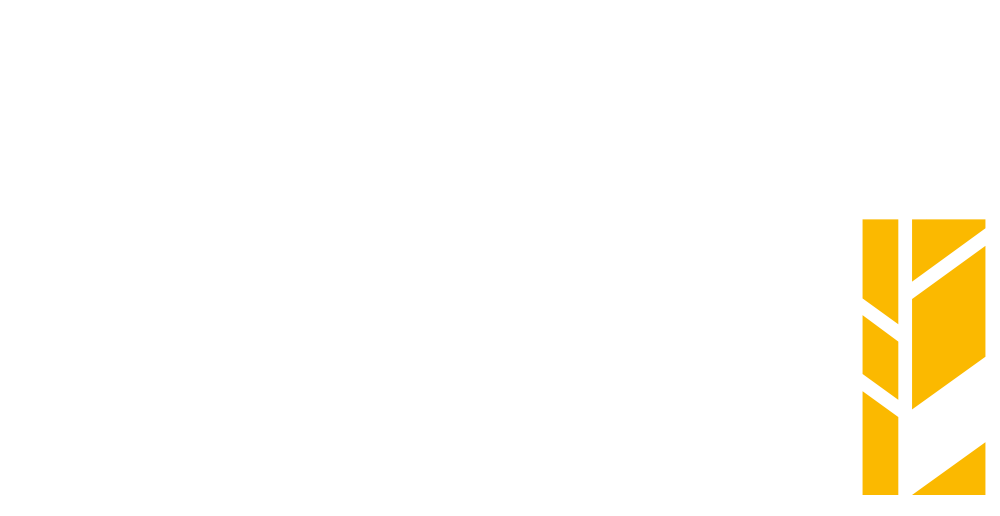 Support Action Ukraine